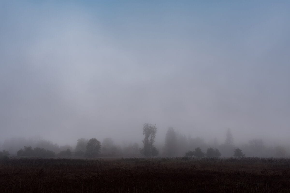 Trinity National Forest, Kalifornien