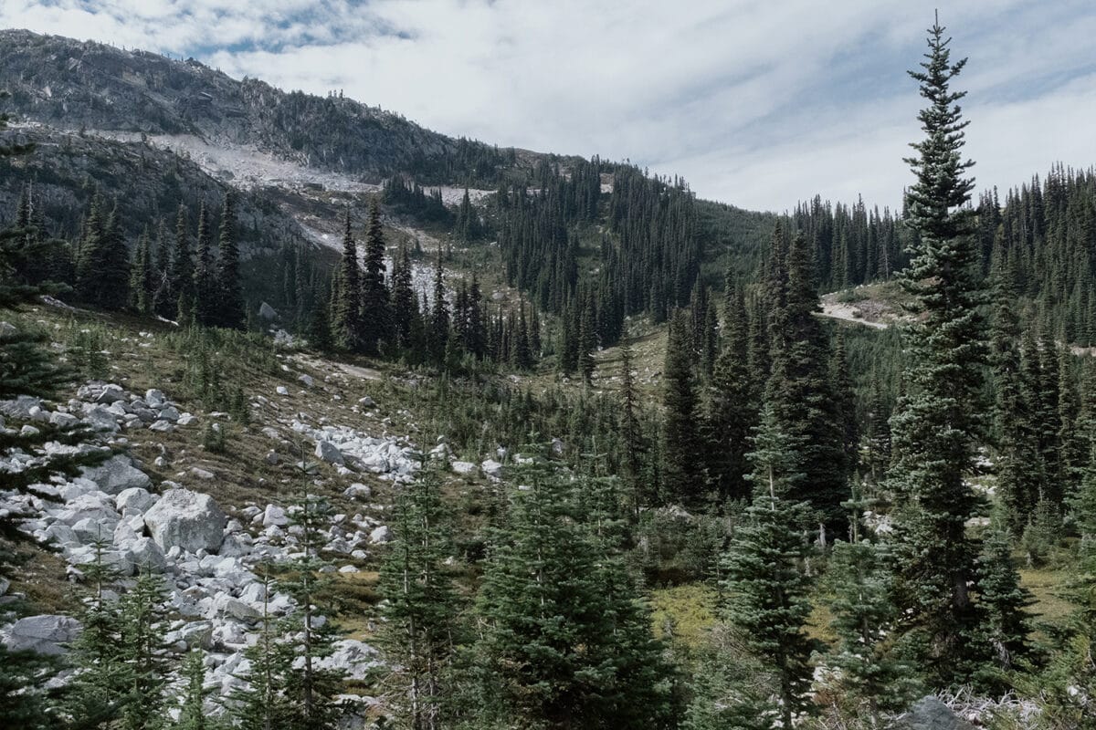 Whistler / Harmony Lake Trail, British Columbia