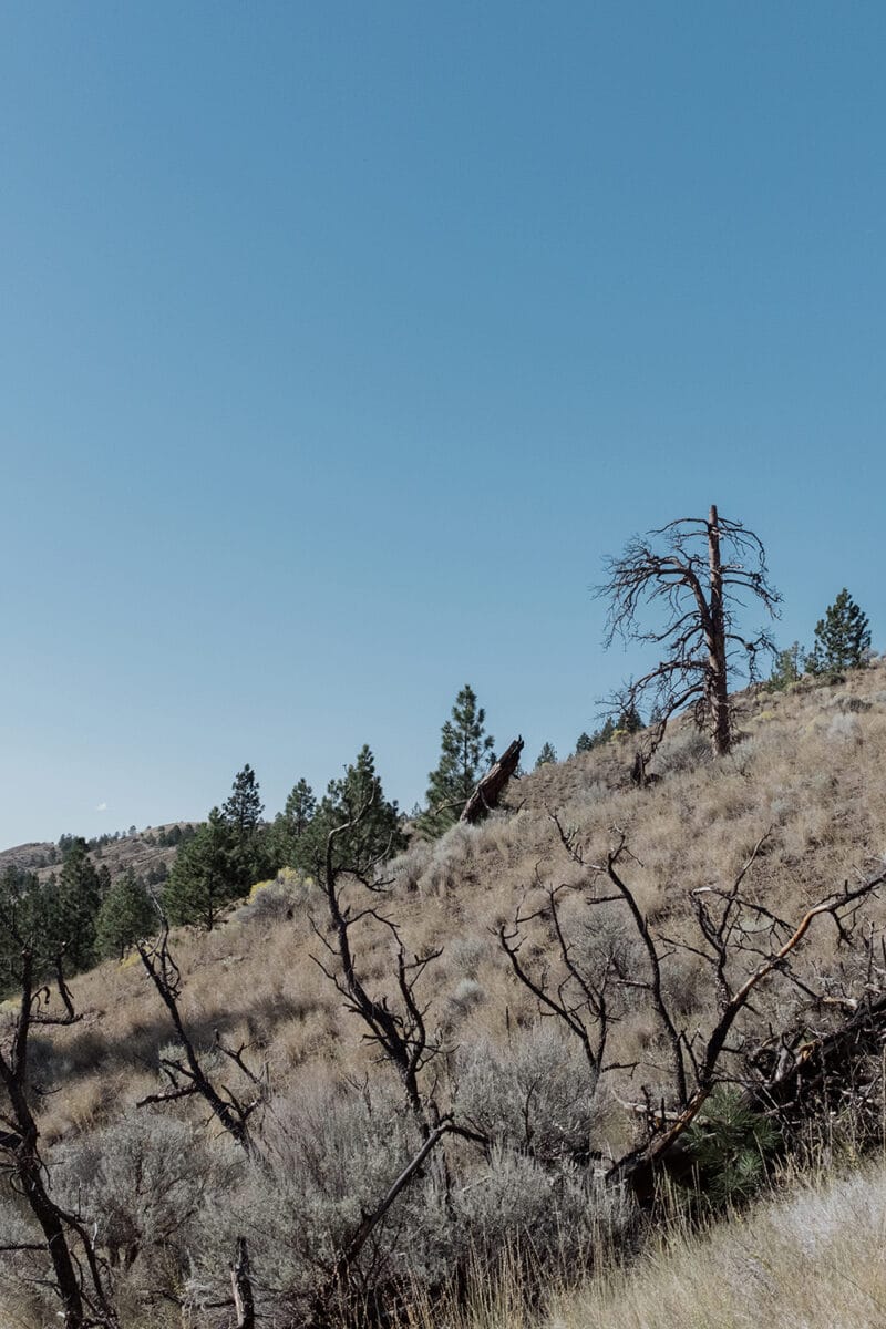 Kamloops / Kenna Cartwright Park, British Columbia