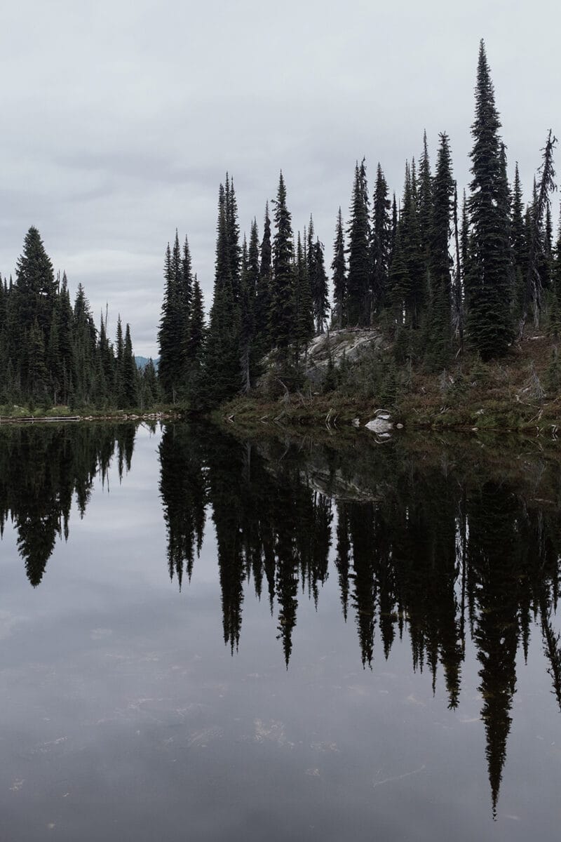 Mount Revelstoke / Summit Trail, British Columbia